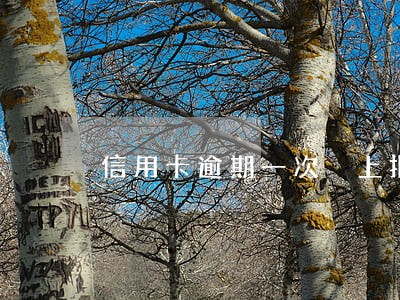 信用卡逾期一次 上报 信用卡逾期一次 上报